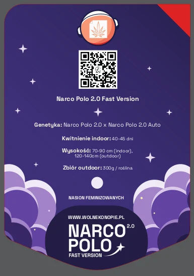 Critical Narco Polo 2.0 Fast Version
