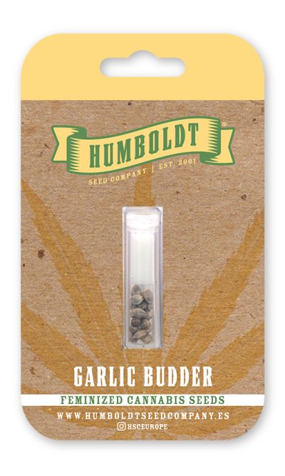Humboldt Seed Garlic Budder Feminised