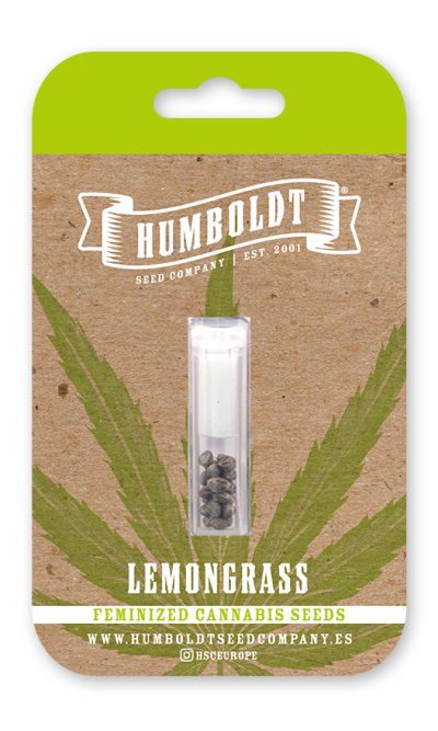 Humboldt Seed Lemongrass Feminised