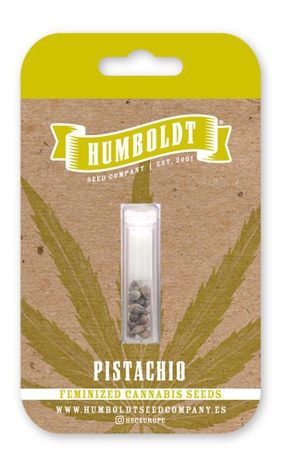 Humboldt Seed Pistachio Feminised