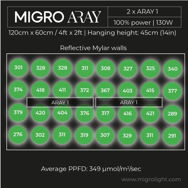 Migro Light Led Aray 1 - for clones and seedlings