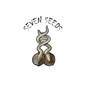 Seven Seeds : We are a company on the cannabis market in Poland since the end of 2017.

After many years of learning about plants and their genetics, we offer you carefully developed feminized cannabis varieties containing high concentrations of cannabinoids such as CBD, CBG.

We have been growing our crops in the south of Poland for many years. The developed and sustainable ecological cultivation method gives us a 100% organic product, free from pesticides and herbicides. We focus with great attention not only on priceless cannabinoids, but also carefully select our varieties in terms of terpene profiles. Our goal is continuous development in the field of hemp.
