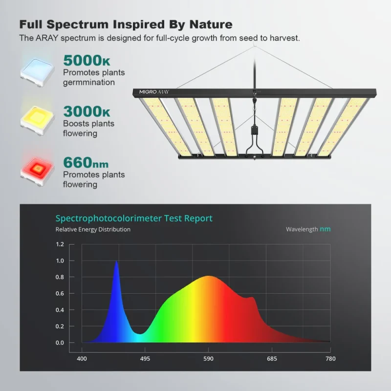 Migro Light Led Aray 5x5 - 750W